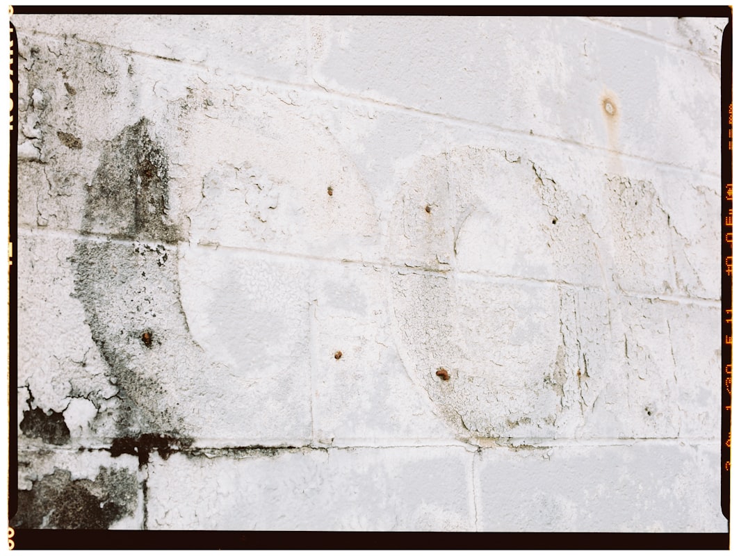 Basement Water Removal service in Tigard, OR