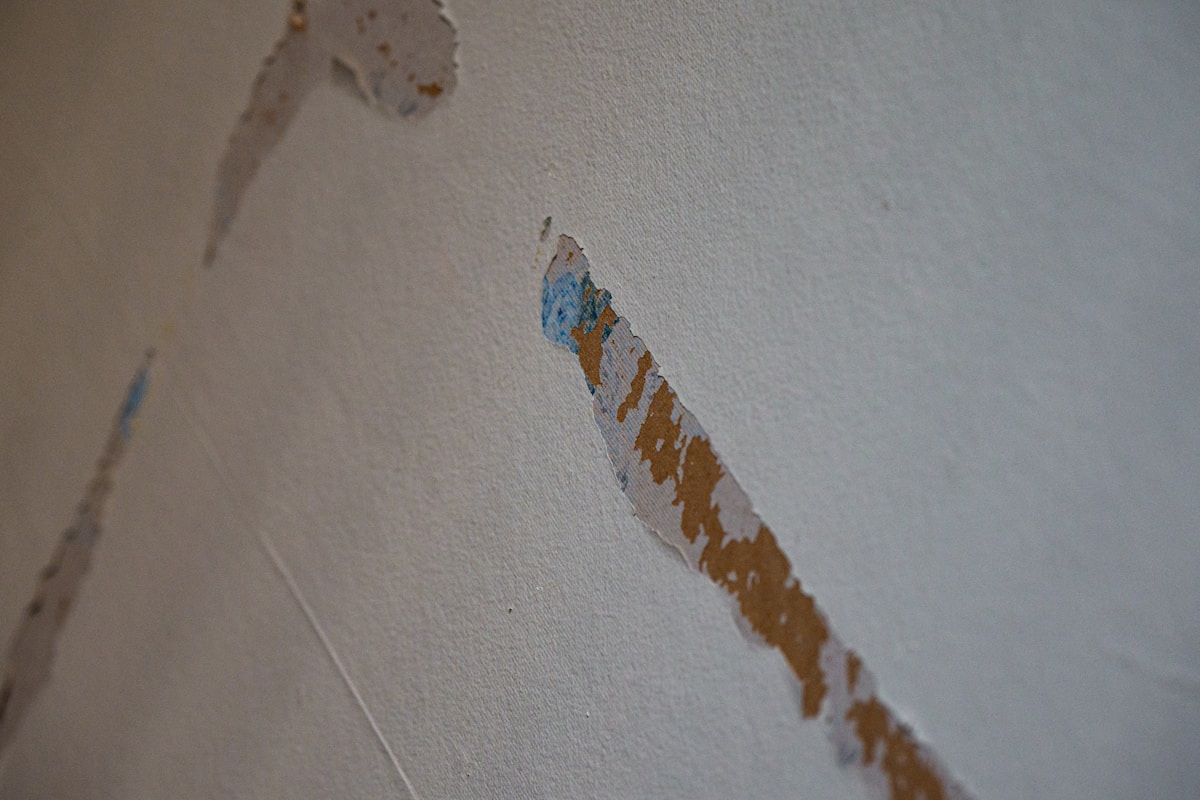 Flood Cleanup service in Tigard, OR